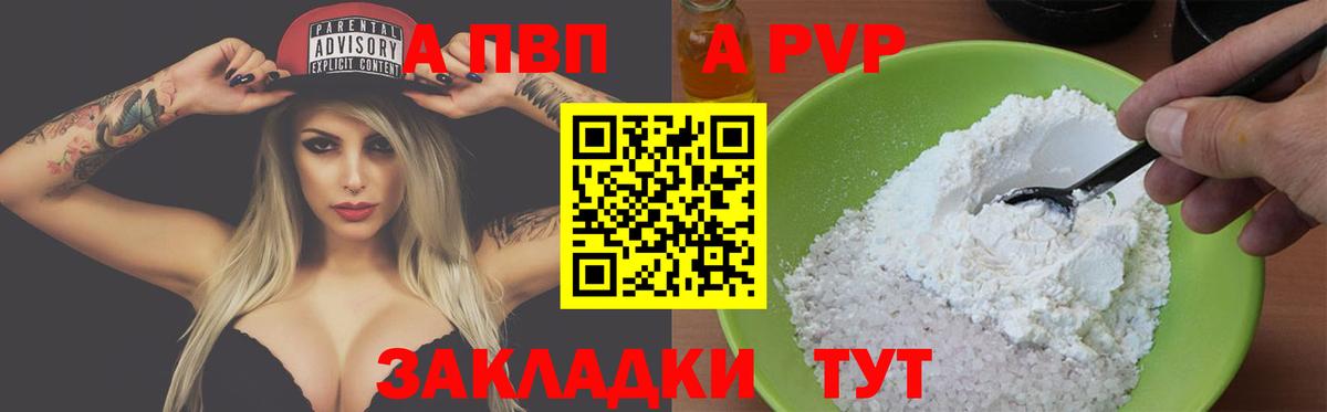 Alfa_PVP СК КРИС Краснодар