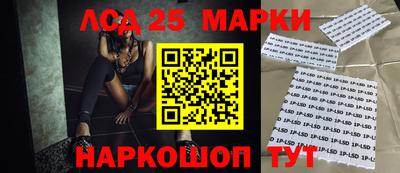 ПСИЛОЦИБИНОВЫЕ ГРИБЫ Кингисепп