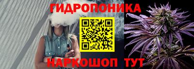 индика Кимры
