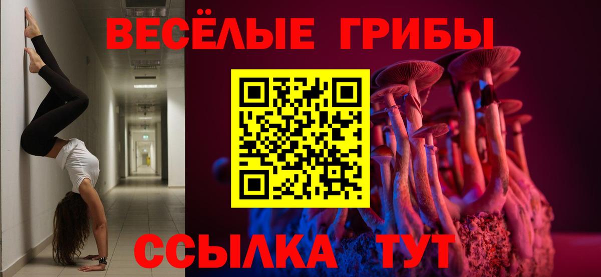 Галлюциногенные грибы прущие грибы Краснодар